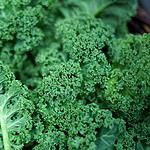 Kale