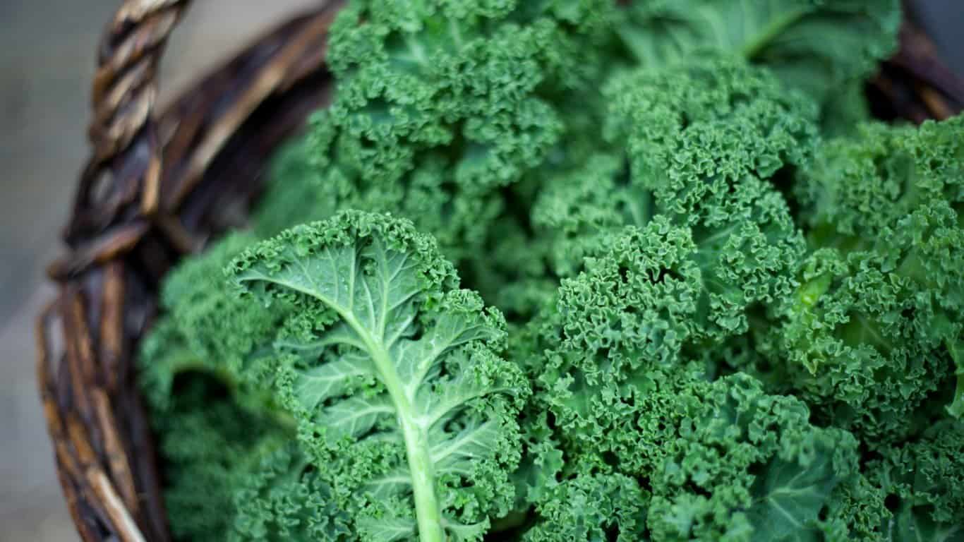 Kale