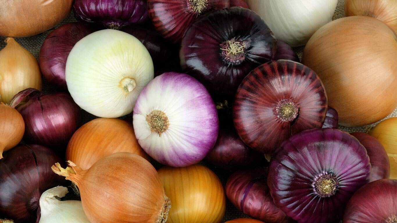 Onions