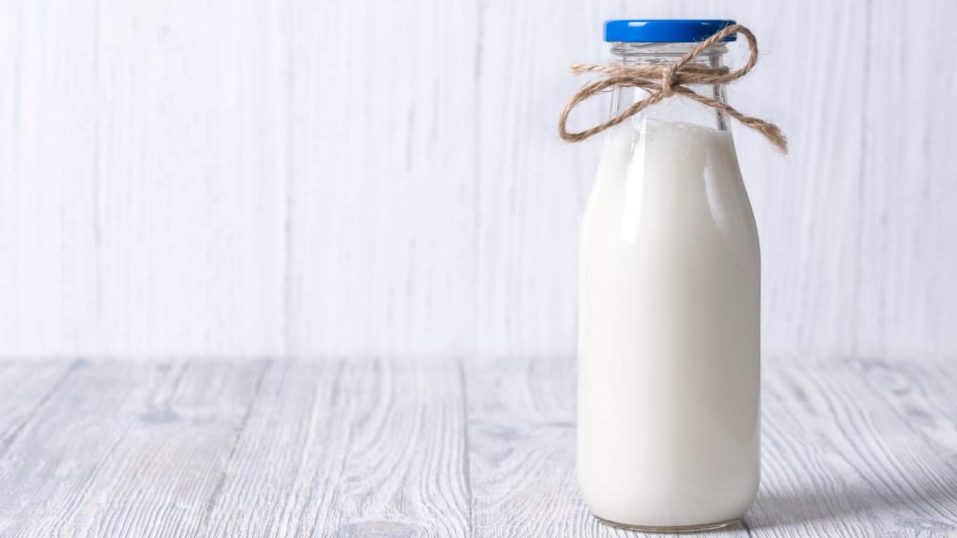 Key Findings: Dairy