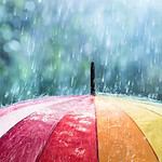 Woman sues for false weather prediction