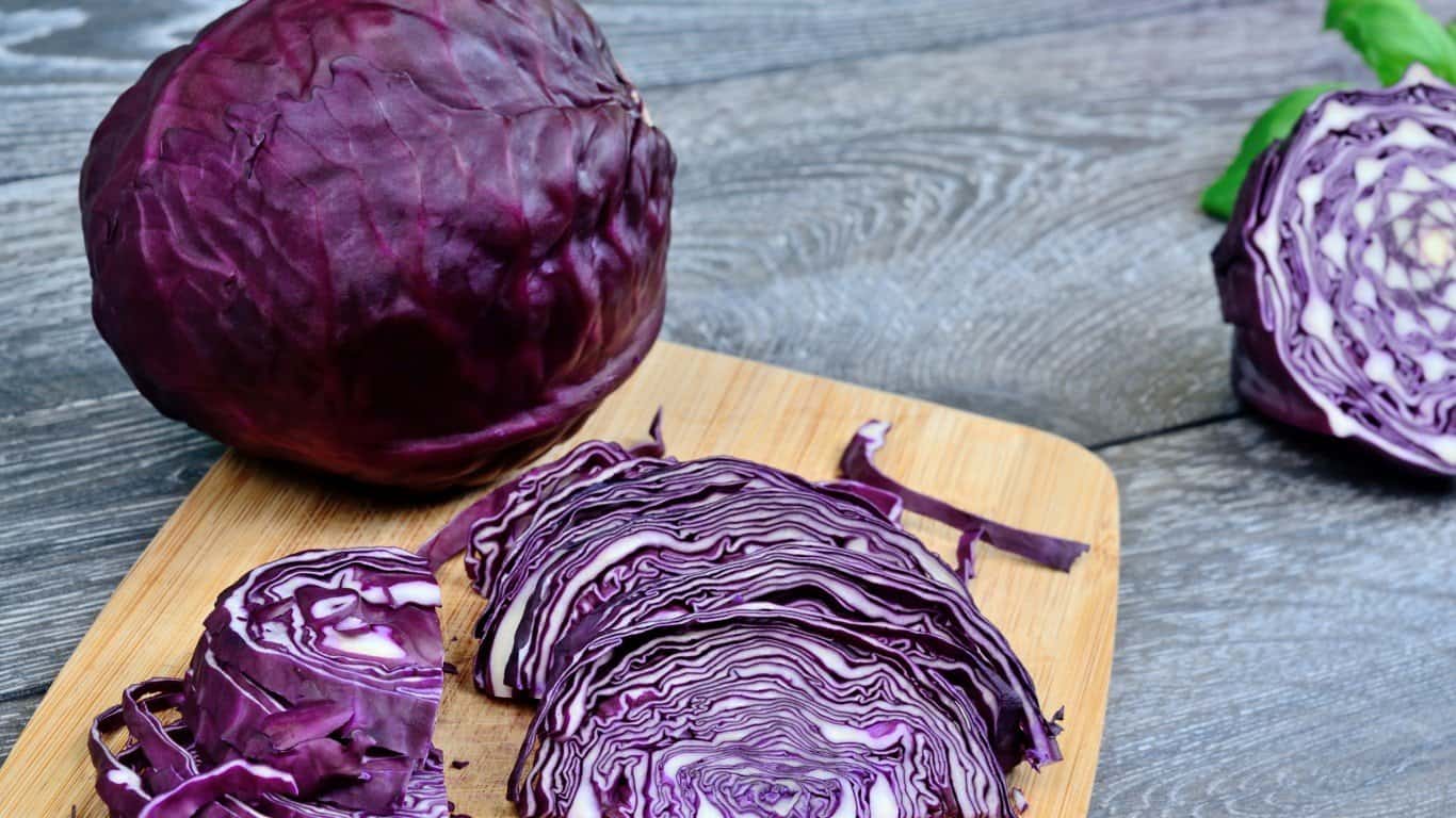 Cabbage