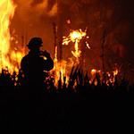 Is a firefighter's fear of fire a disability?
