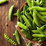 Snow and Snap Peas