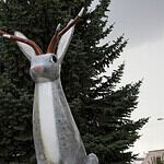 Answer: Wyoming