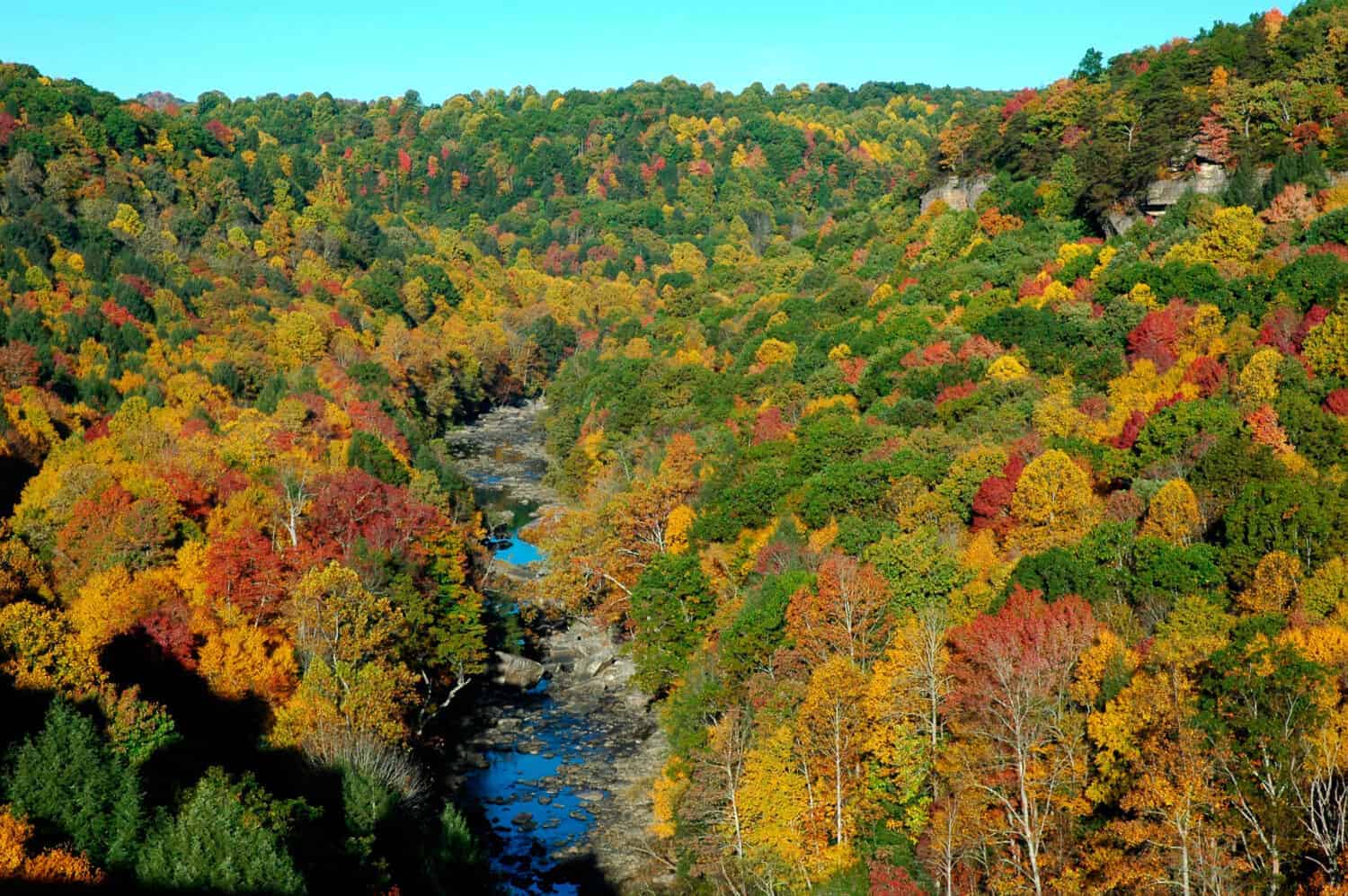 Answer: West Virginia