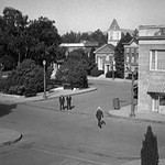 33. Inherit the Wind (1960)