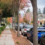 California: Professorville Historic District (Palo Alto, CA)
