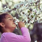 "Olfactory Fatigue" is Real