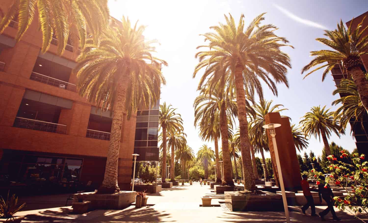 8. Greenmeadow (Palo Alto, CA)