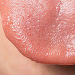 The "Taste Map" is a Myth