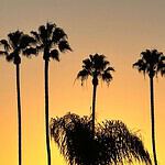 24. Boulevard Heights Historic District (Los Angeles, CA)