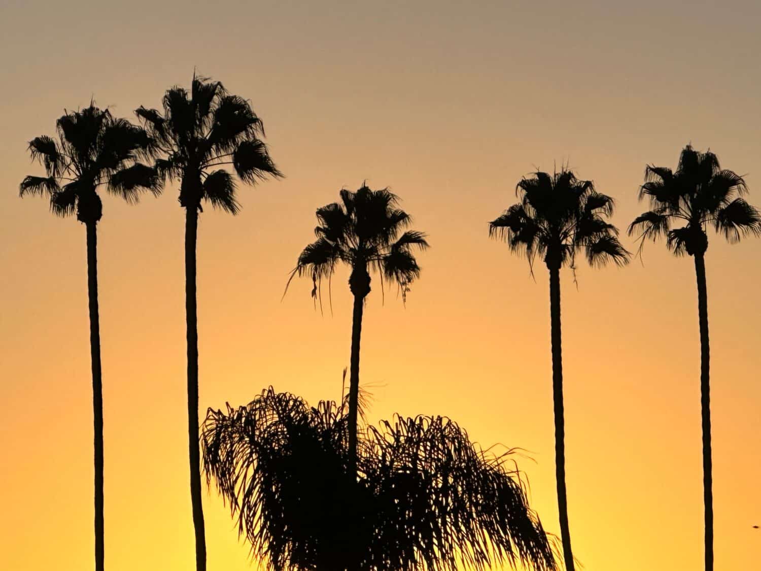 24. Boulevard Heights Historic District (Los Angeles, CA)