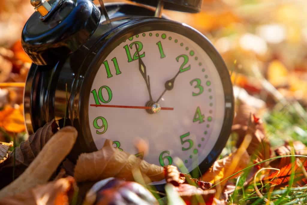 Symbol image Time change, autumn: An alarm clock among autumn leaves