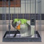 26. The Penguins of Madagascar (2008-2015)