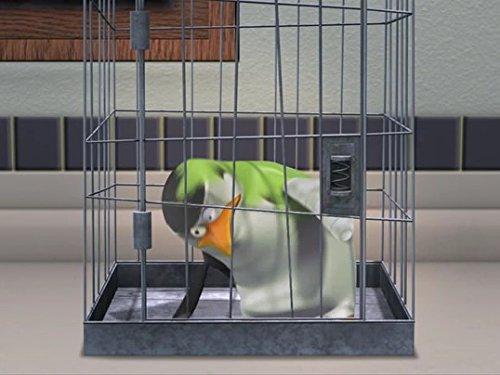 26. The Penguins of Madagascar (2008-2015)