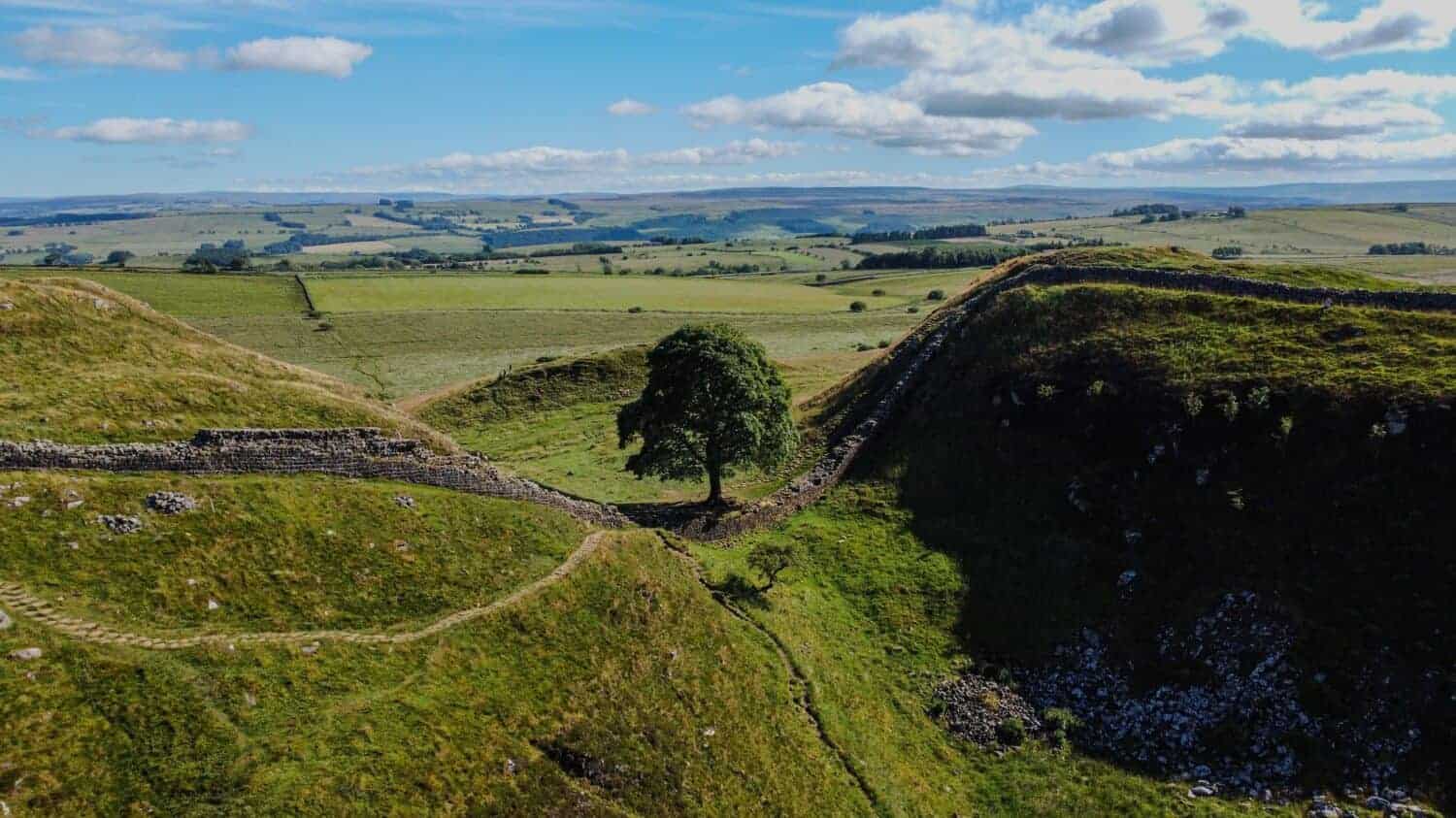 Sycamore Gap Tree (England)
