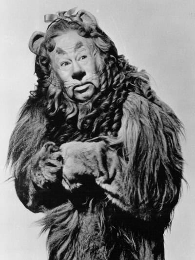 The Cowardly Lion Costume