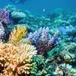 So, What Can You Do On World Nature Conservation Day?
