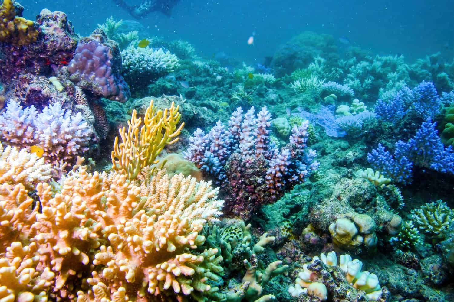 So, What Can You Do On World Nature Conservation Day?