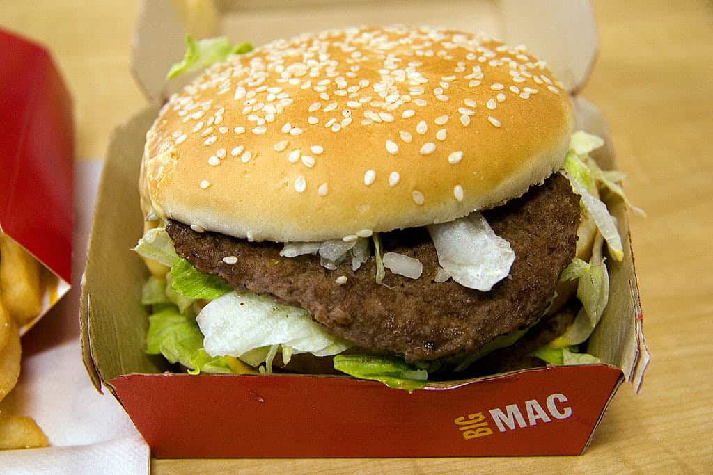 McDonald’s Big N’ Tasty