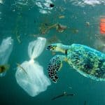 Trash Continues to Find Its way to Our Oceans
