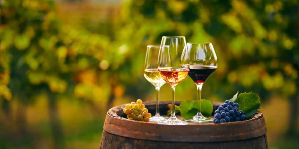 Three glasses with white, rose and red wine on a wooden barrel in the vineyard. Wide photo