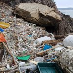 The Numbers are Worrying for 2050