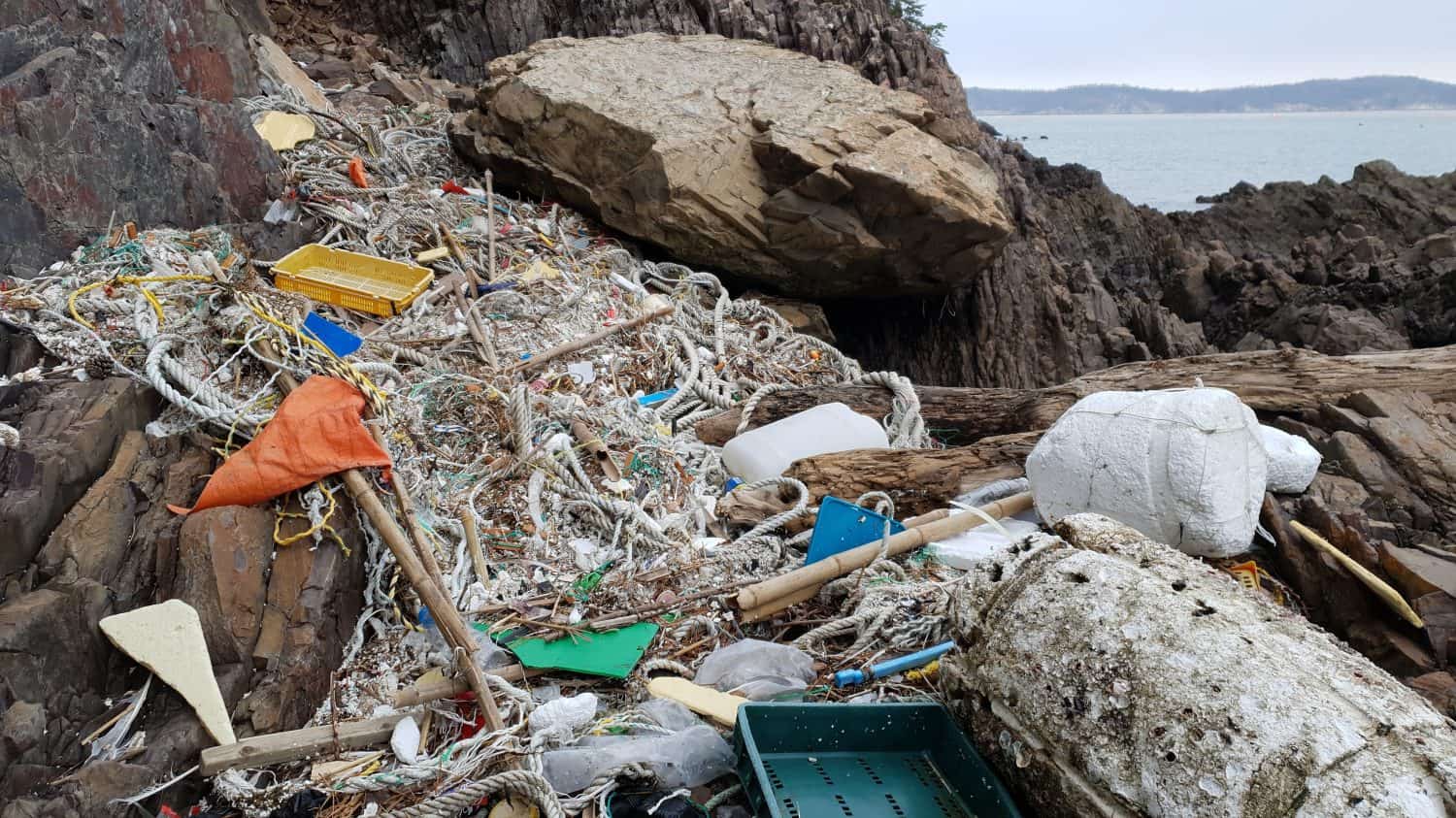 The Numbers are Worrying for 2050