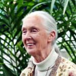 Jane Goodall