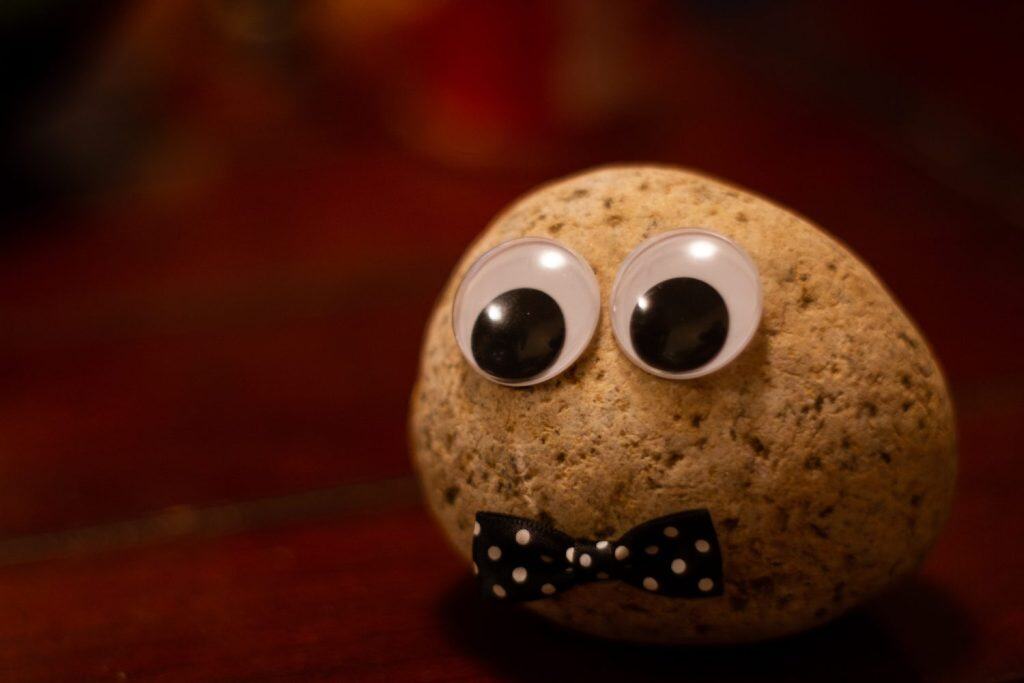 Pet rock dressed with a bowtie as a person