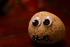 Pet rock dressed with a bowtie as a person