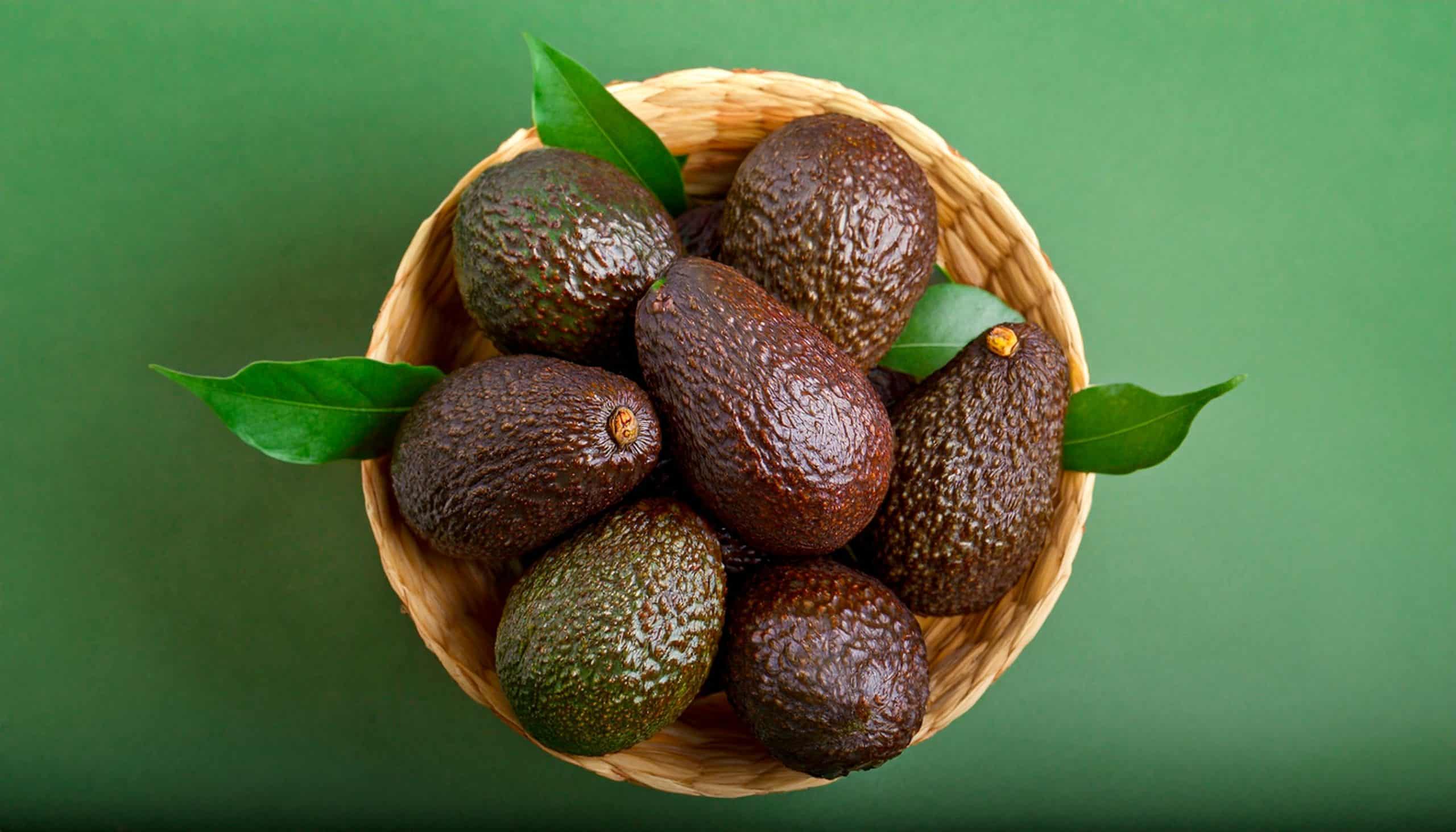 4. They are High in 'Good' Fat