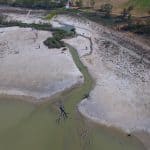 Wetlands