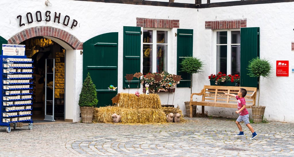 Wolf Pack – Cologne Zoo