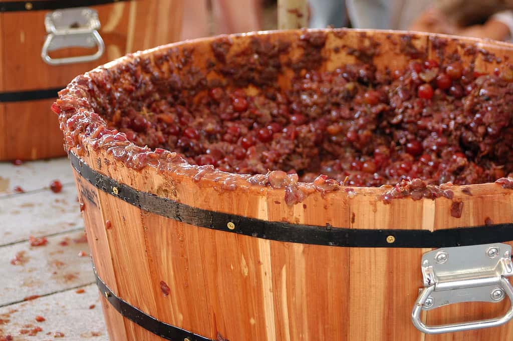 California: Crushers