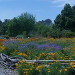 Botanical Gardens & Arboretums