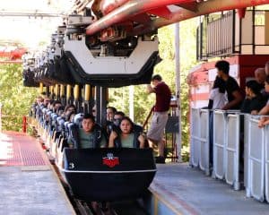 Ninja ~ Suspended Roller Coaster