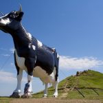 North Dakota: Holsteins