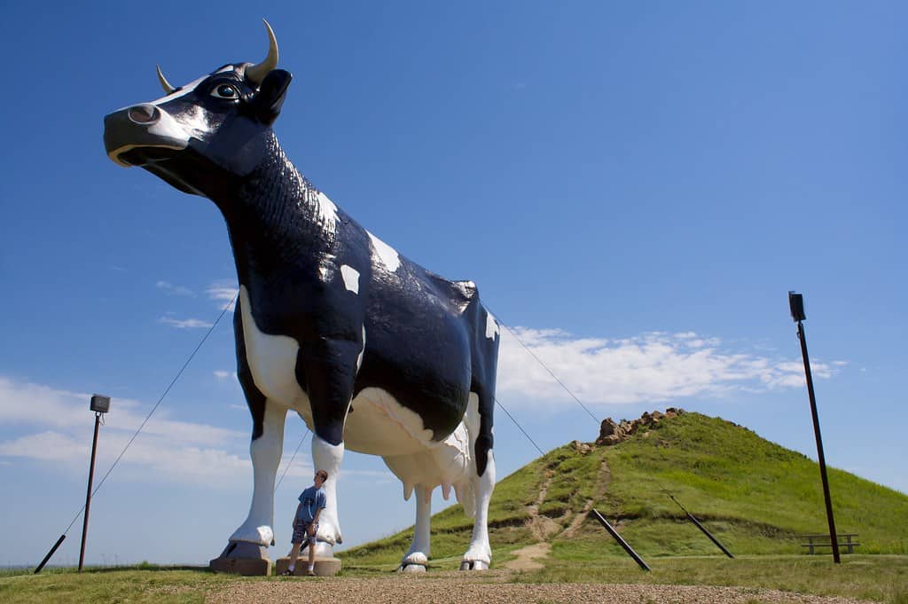 North Dakota: Holsteins