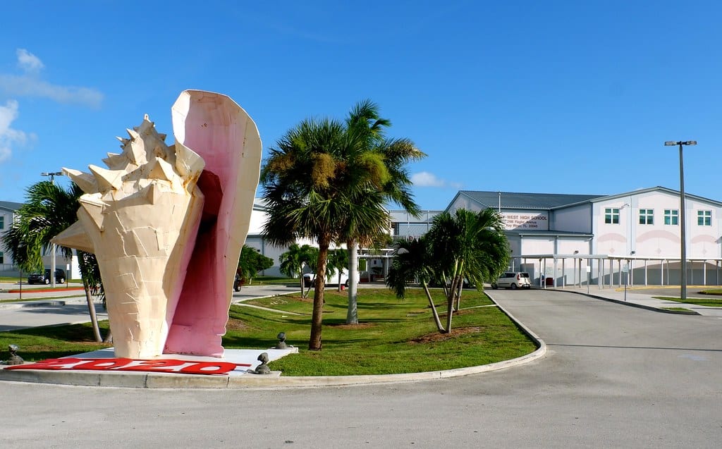Florida: Conchs