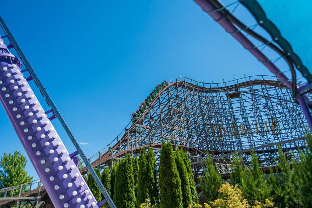 Idaho – Timber Terror