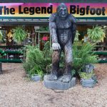 Washington – Harassing Bigfoot