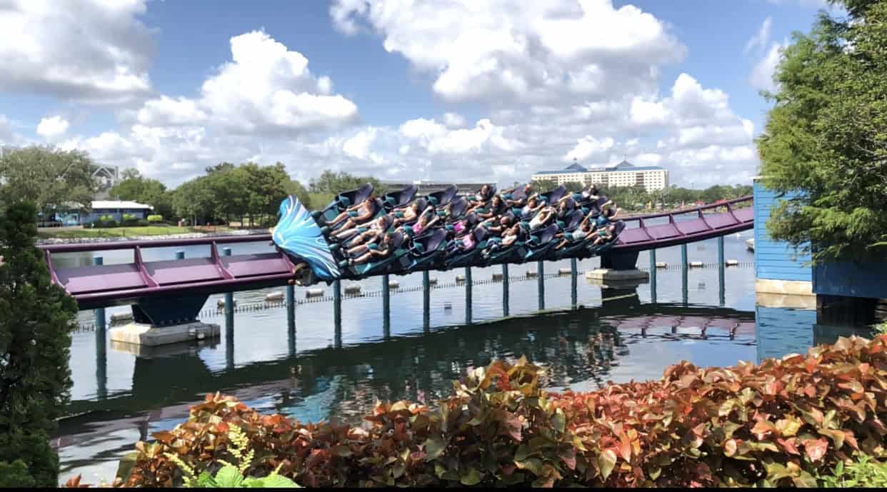 Florida – Mako