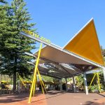 Orangutan – Perth Zoo