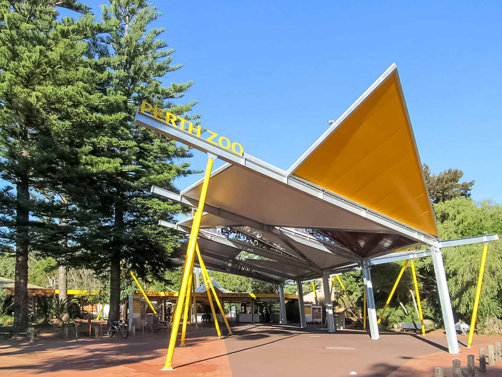 Orangutan – Perth Zoo