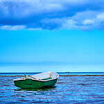 Schenck v. Walt Disney Co.