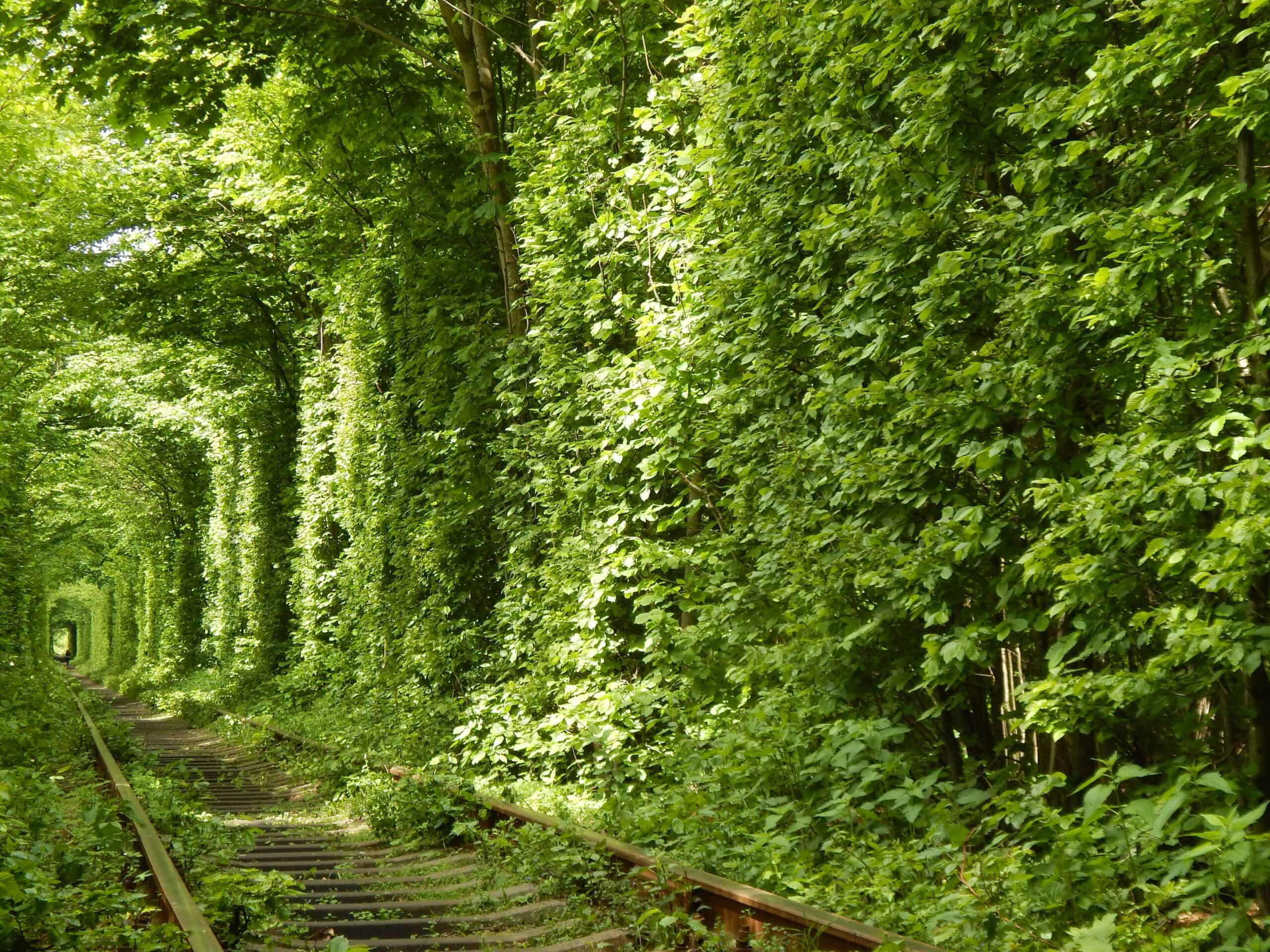Tunnel of Love, Klevan, Ukraine
