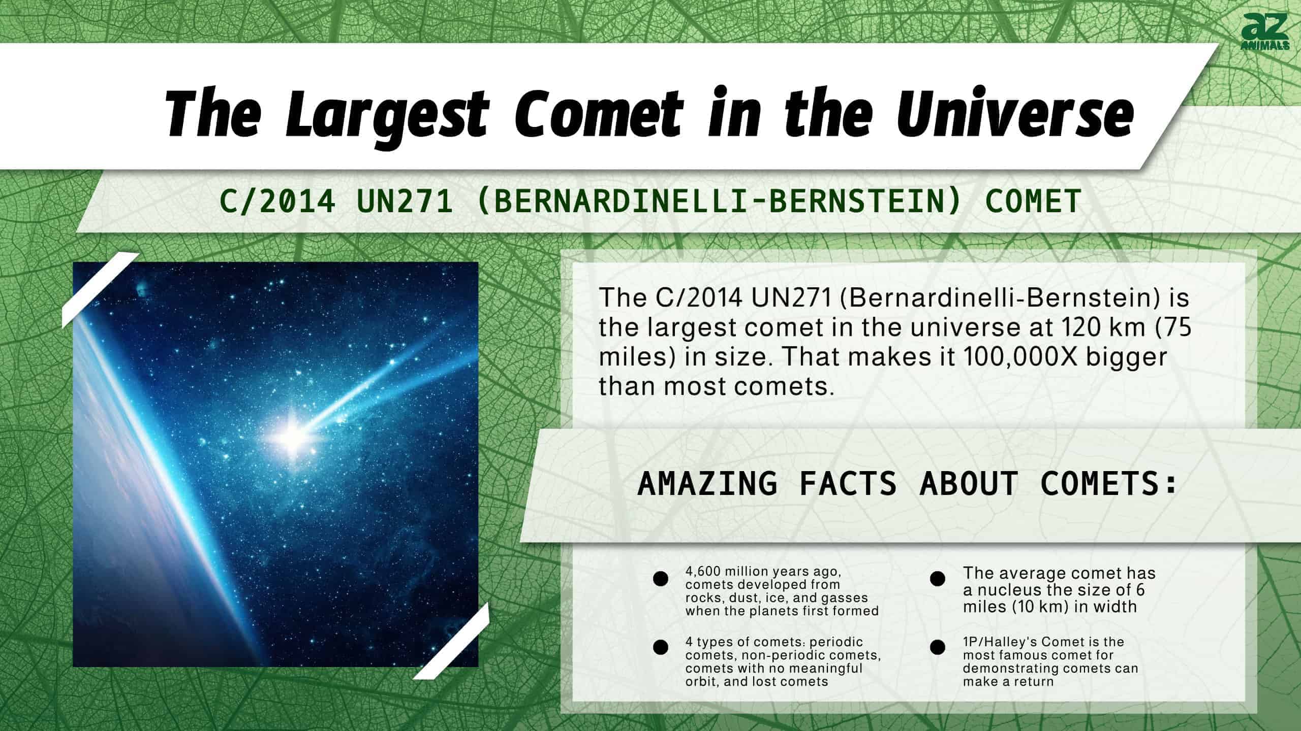 What Is a Comet?