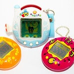 Answer 9: Virtual Pet Sitting